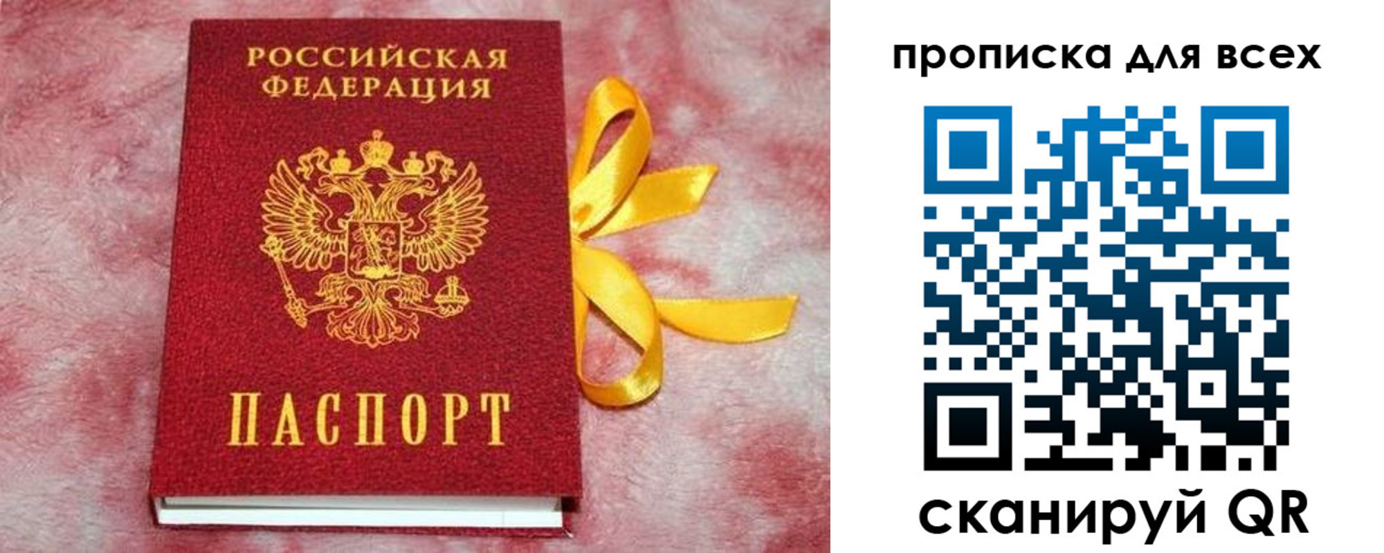прописка для школы в Светлограде